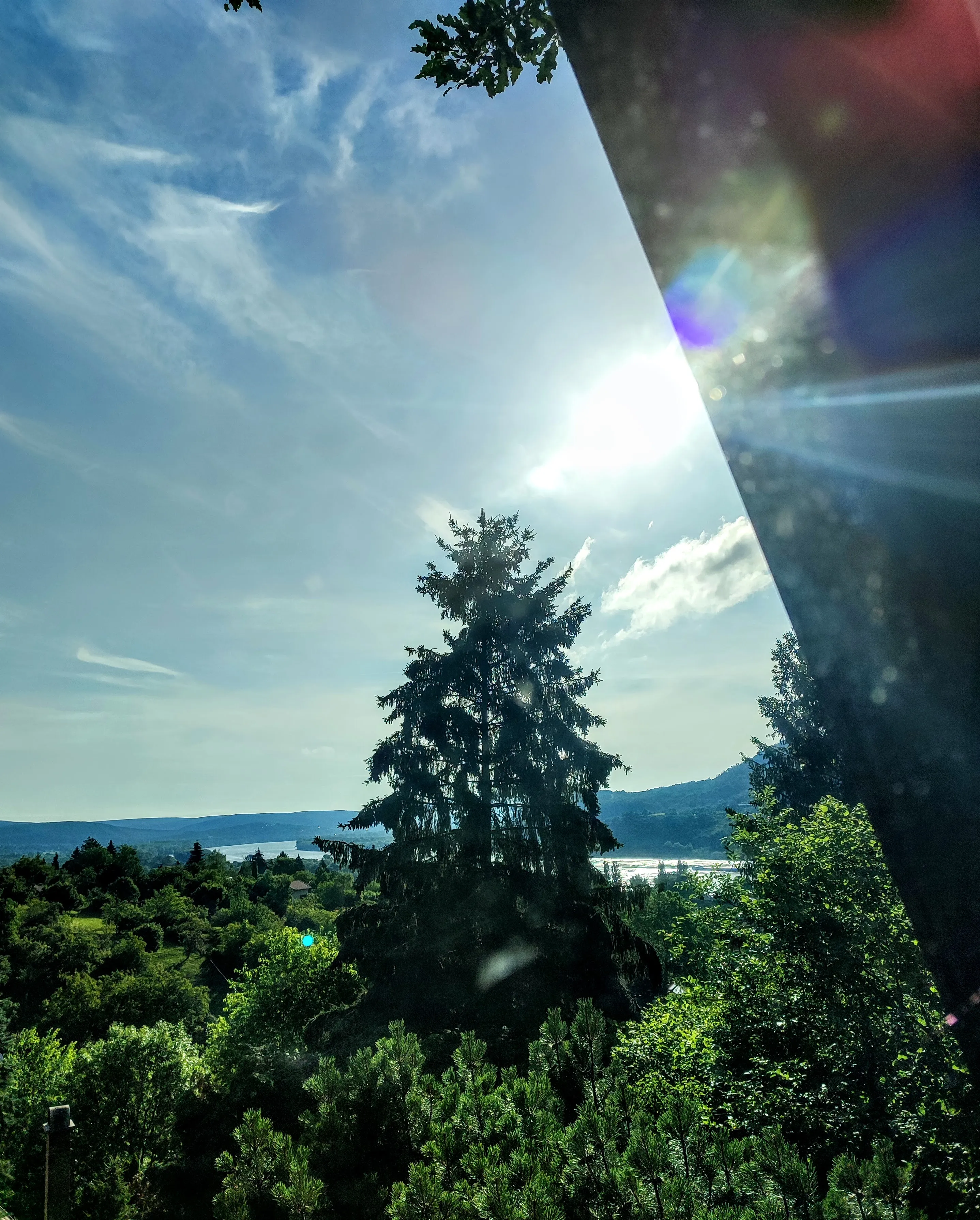 A Dunakanyar panorámája fenyőfákkal és a Dunával a Maroschka kertjéből
